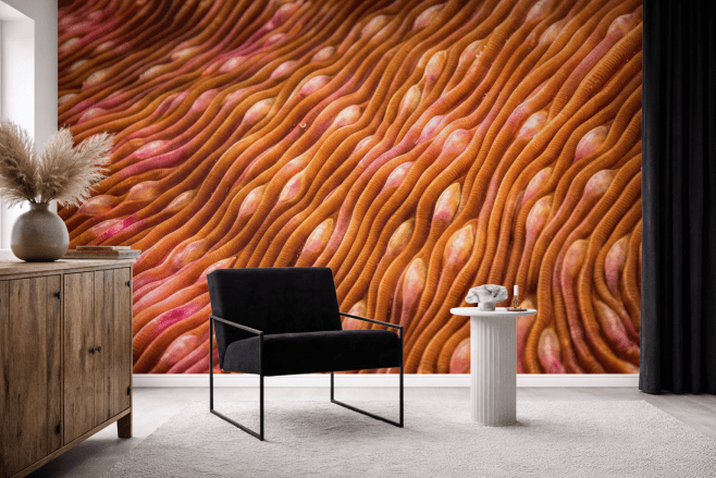 Sinuous Undercurrent