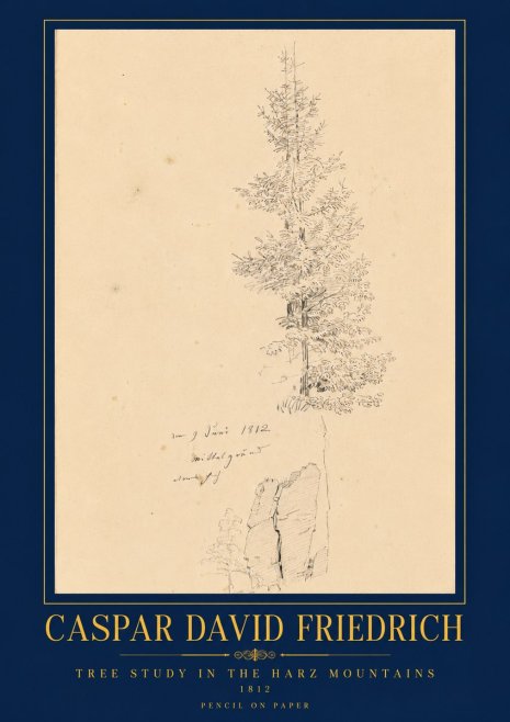 Caspar David Friedrich Tree Study in the Harz Mountains No6 - Plakat
