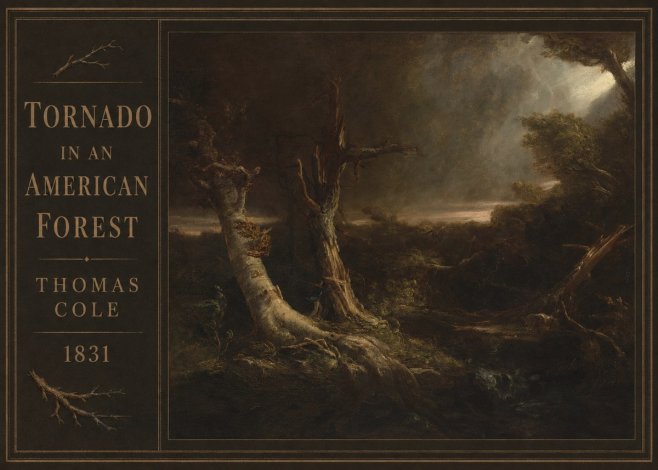 Thomas Cole Tornado in an American Forest No3 - Plakat