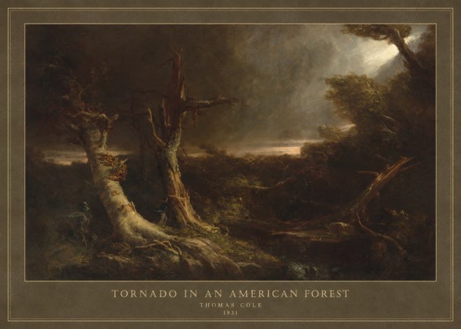 Thomas Cole Tornado in an American Forest No4 - Plakat