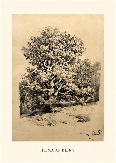 Hilma af Klint Large Tree Landscape No1 - Plakat