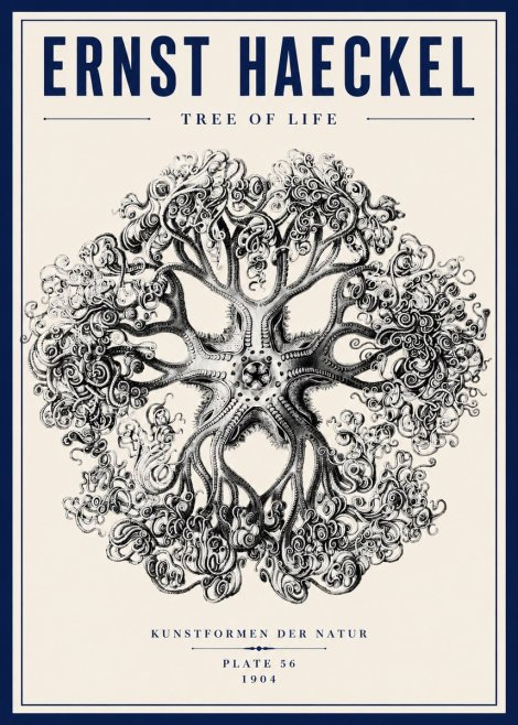 Ernst Haeckel Tree-like Organism No6 - Plakat