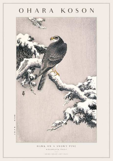 Ohara Koson Hawk on a Snowy Pine No1 - Plakat