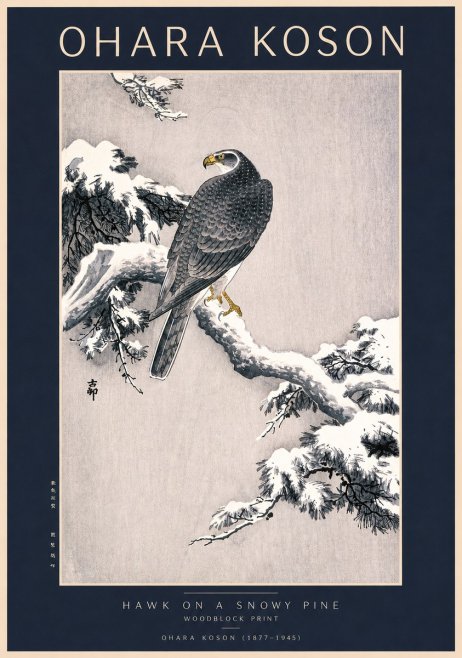 Ohara Koson Hawk on a Snowy Pine No2 - Plakat
