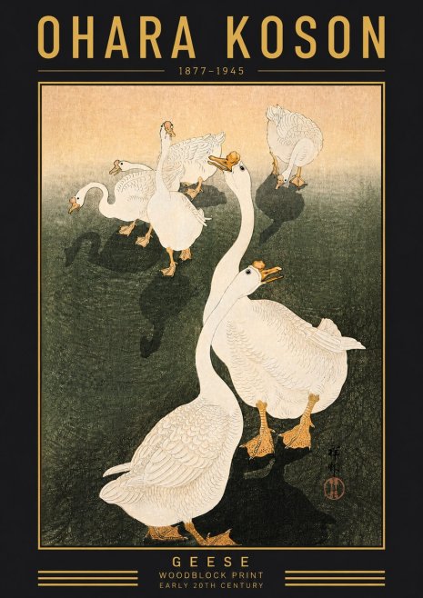 Ohara Koson Geese No5 - Plakat