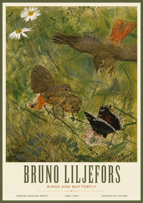 Bruno Liljefors Birds and Butterfly No3 - Plakat