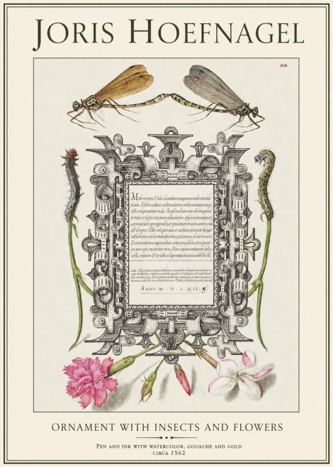 Joris Hoefnagel Ornamental Frame with Damselflies, Caterpillars and Flowers No2 - Plakat