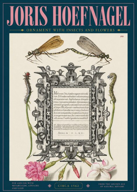 Joris Hoefnagel Ornamental Frame with Damselflies, Caterpillars and Flowers No5 - Plakat
