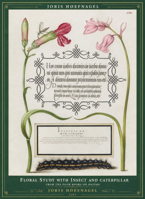 Joris Hoefnagel Floral Study with Insect and Caterpillar No1 - Plakat