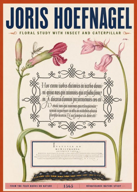 Joris Hoefnagel Floral Study with Insect and Caterpillar No2 - Plakat