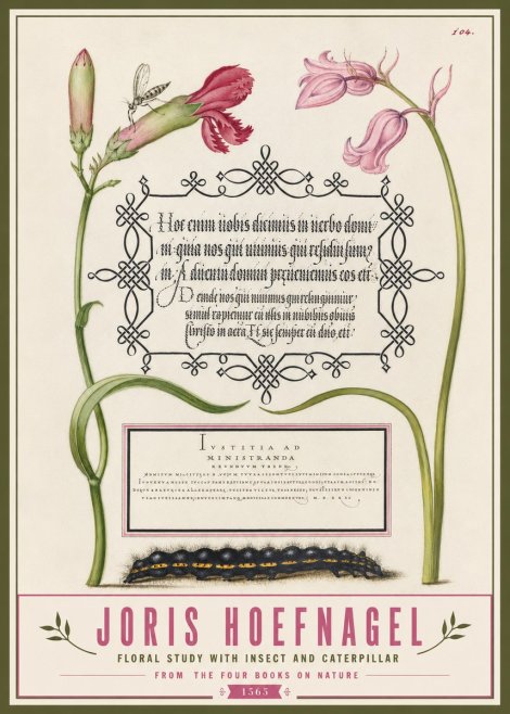 Joris Hoefnagel Floral Study with Insect and Caterpillar No3 - Plakat