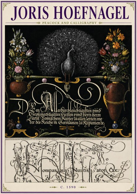 Joris Hoefnagel Peacock and Calligraphy No6 - Plakat