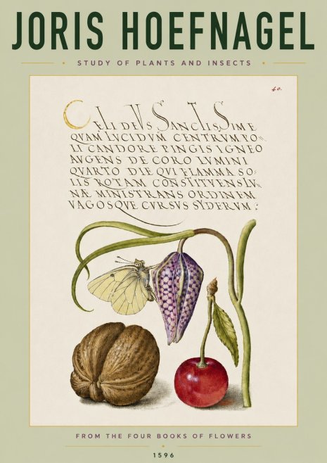 Joris Hoefnagel Study of Plants and Insects No4 - Plakat