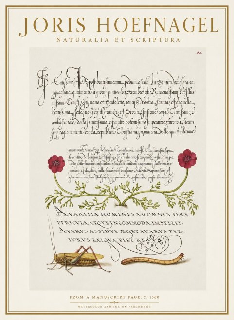 Joris Hoefnagel Illuminated Page with Flowers, Insects & Latin Script No2 - Plakat