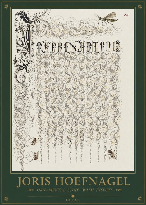 Joris Hoefnagel Ornamental Study with Insects No1 - Plakat