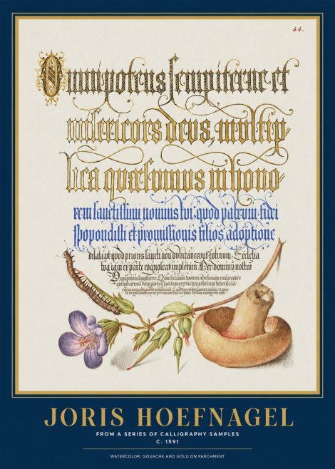 Joris Hoefnagel From a Series of Calligraphy Samples No1 - Plakat