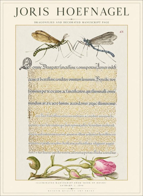 Joris Hoefnagel Dragonflies and Decorated Manuscript Page No1 - Plakat