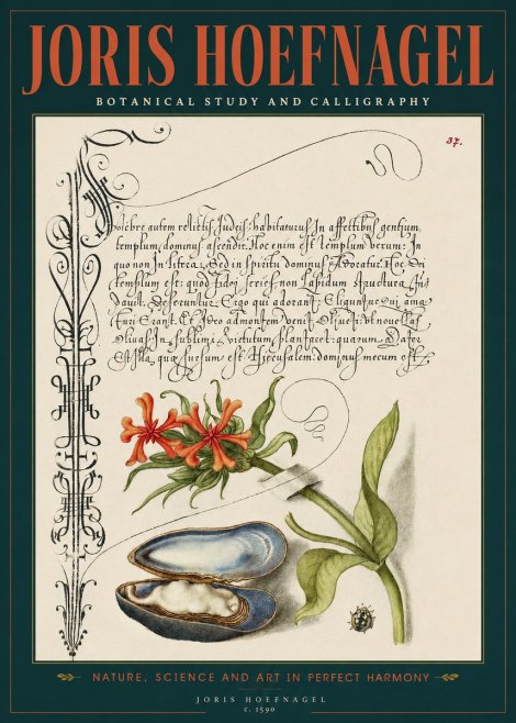 Joris Hoefnagel Botanical Study and Calligraphic Page No2 - Plakat
