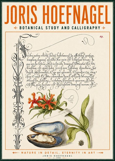 Joris Hoefnagel Botanical Study and Calligraphic Page No4 - Plakat