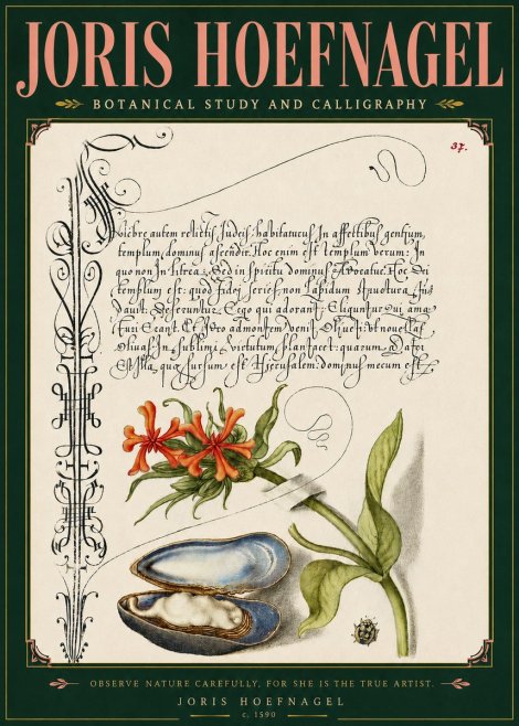 Joris Hoefnagel Botanical Study and Calligraphic Page No5 - Plakat