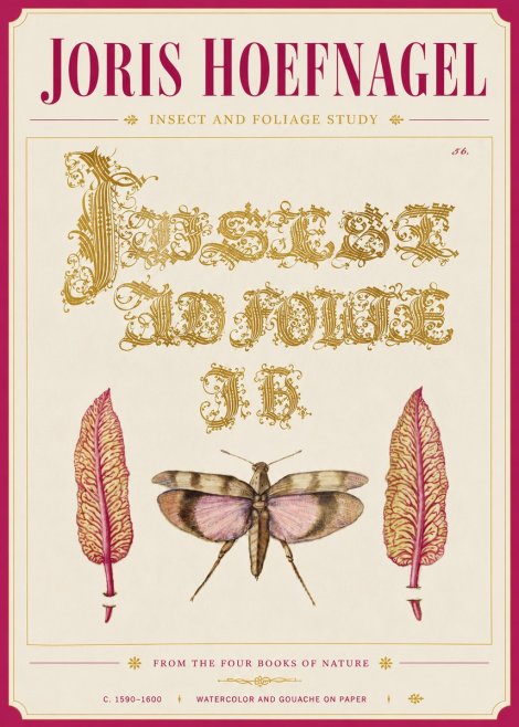 Joris Hoefnagel Insect and Foliage Study No6 - Plakat