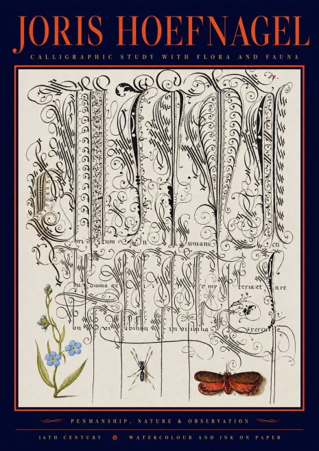 Joris Hoefnagel Calligraphic Study with Flora and Fauna No2 - Plakat