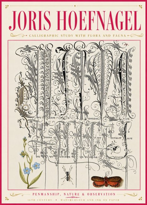 Joris Hoefnagel Calligraphic Study with Flora and Fauna No6 - Plakat
