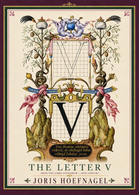 Joris Hoefnagel The Letter V No4 - Plakat