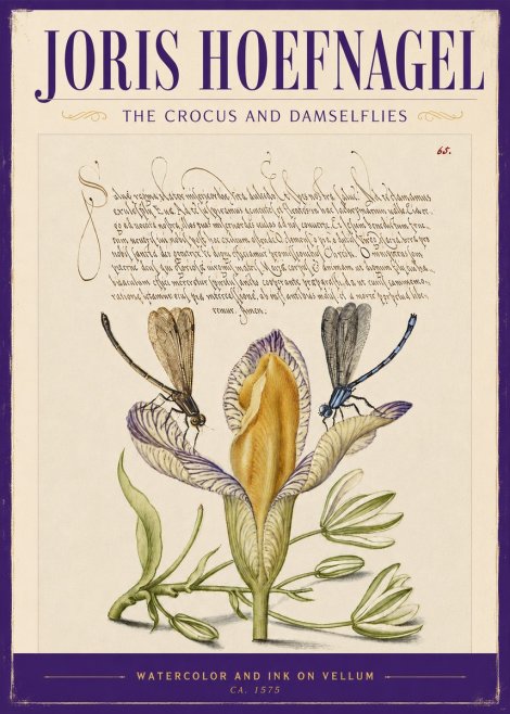 Joris Hoefnagel The Crocus and Damselflies No2 - Plakat