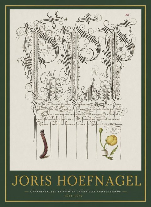 Joris Hoefnagel Ornamental Calligraphy with Caterpillar and Buttercup No2 - Plakat