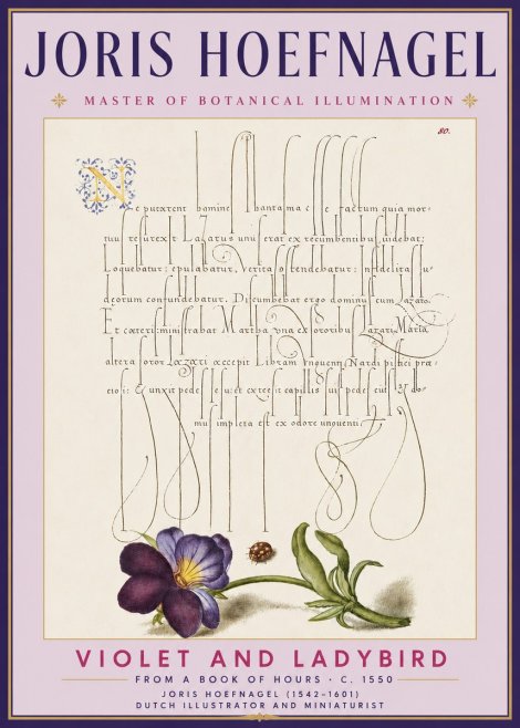 Joris Hoefnagel Violet and Ladybird No3 - Plakat