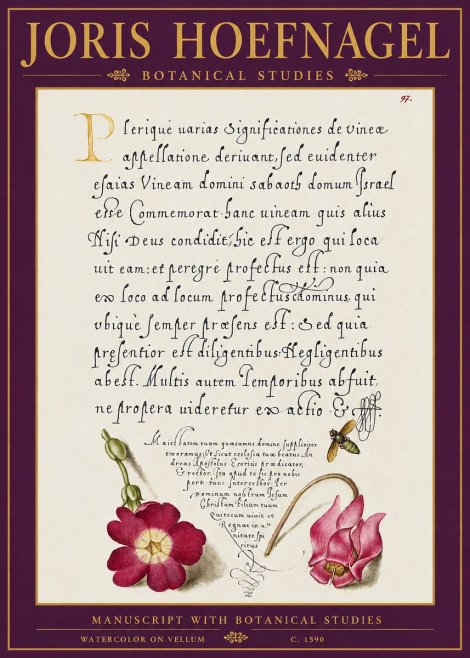Joris Hoefnagel Manuscript with Botanical Studies No5 - Plakat