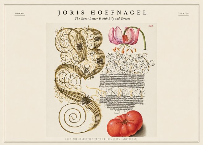 Joris Hoefnagel The Great Letter B with Lily and Tomato No1 - Plakat