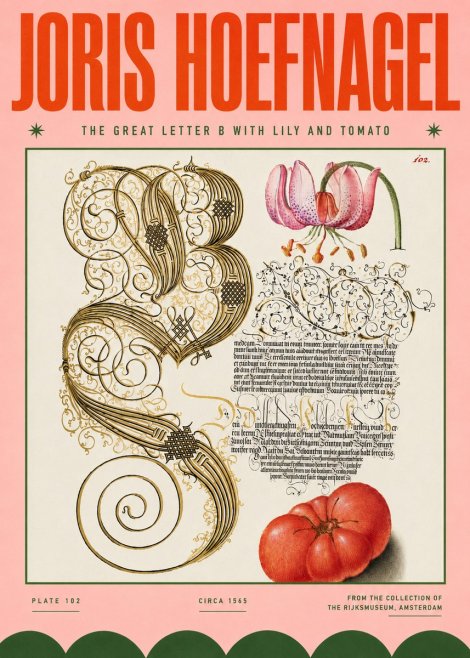 Joris Hoefnagel The Great Letter B with Lily and Tomato No4 - Plakat