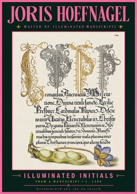 Joris Hoefnagel Illuminated Initials with Peapod and Flower No6 - Plakat