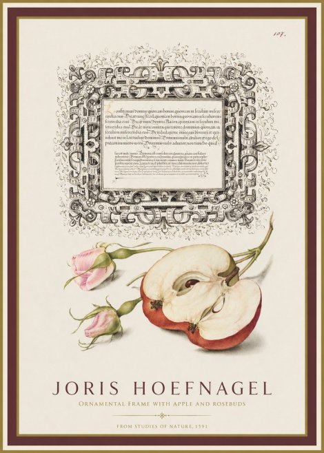 Joris Hoefnagel Illuminated Calligraphy and Botanical Study No2 - Plakat