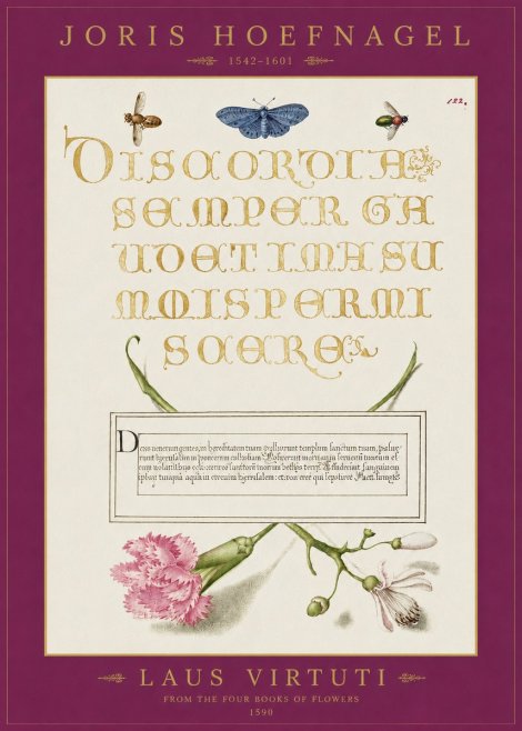 Joris Hoefnagel Laus Virtuti No2 - Plakat