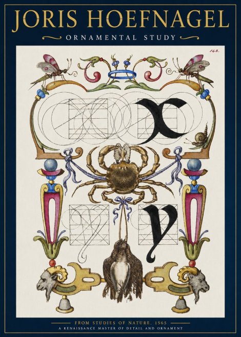 Joris Hoefnagel Ornamental Study II No2 - Plakat