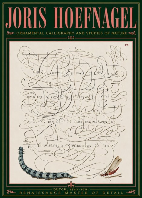 Joris Hoefnagel Ornamental Calligraphy and Studies of Nature No5 - Plakat