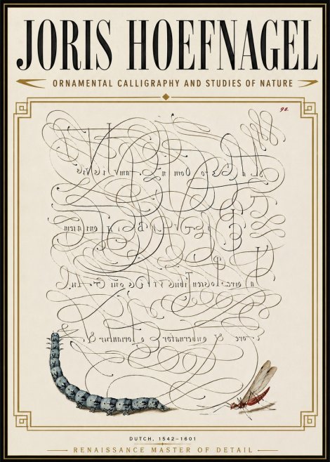 Joris Hoefnagel Ornamental Calligraphy and Studies of Nature No6 - Plakat