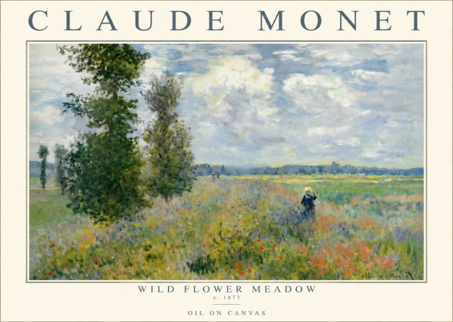 Monet Wild Flower Meadow No3 - Plakat