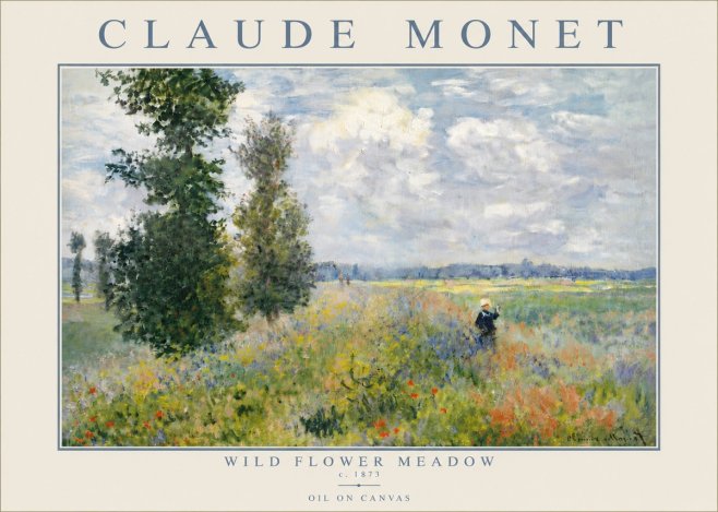 Monet Wild Flower Meadow No5 - Plakat