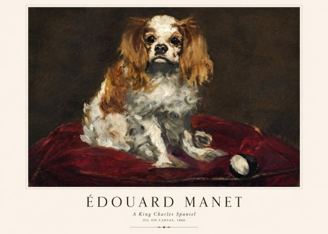 Édouard Manet A King Charles Spaniel No1 - Plakat