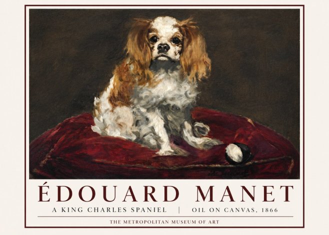 Édouard Manet A King Charles Spaniel No3 - Plakat
