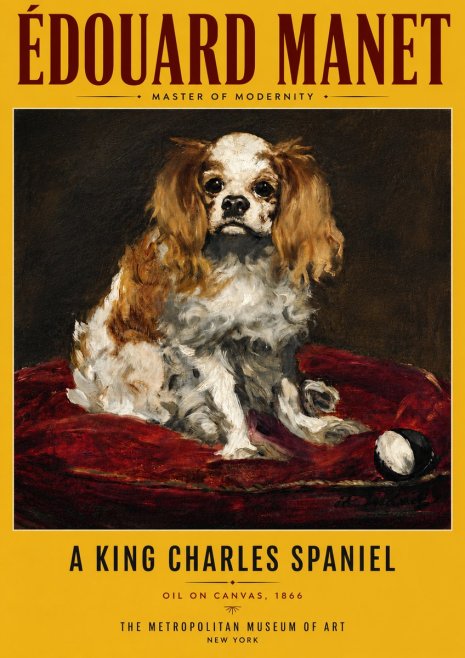 Édouard Manet A King Charles Spaniel No6 - Plakat