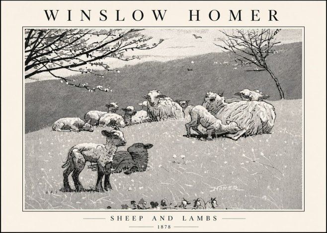 Winslow Homer Sheep and Lambs No4 - Plakat