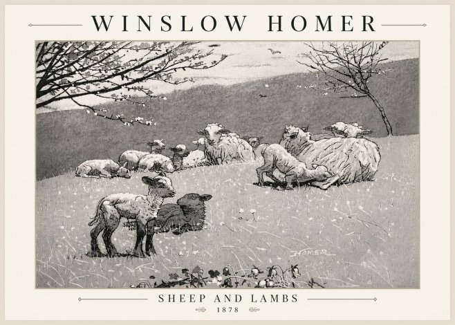 Winslow Homer Sheep and Lambs No5 - Plakat