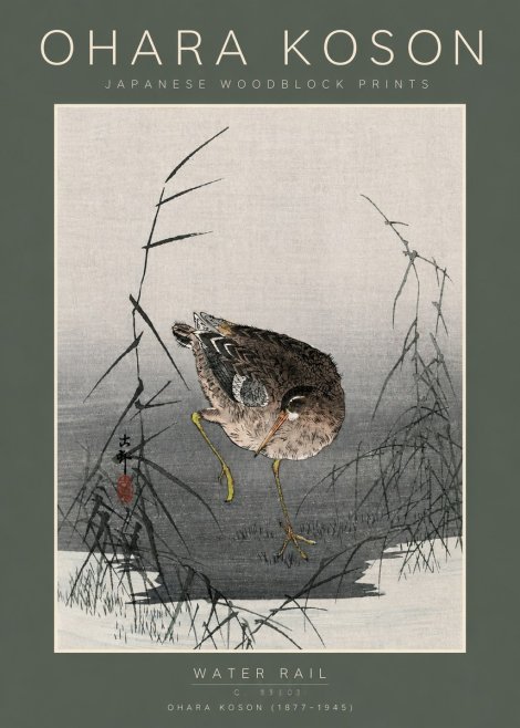 Ohara Koson Water Rail No5 - Plakat