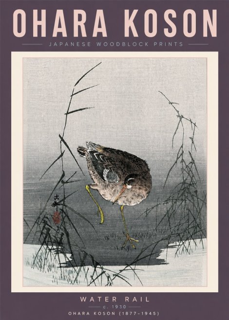 Ohara Koson Water Rail No6 - Plakat