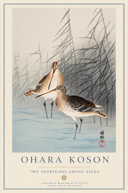 Ohara Koson Snipe in the Reeds No2 - Plakat